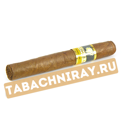 Сигара Cohiba Siglo II (коробка 25 шт.)-1