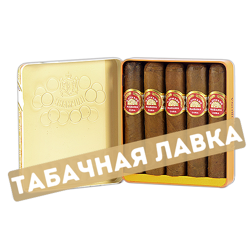 Сигара H.Upmann Half Corona (пачка 5 шт.)-1