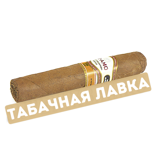 Сигара Te-Amo - World Selection Series - Robusto Cuba (1 шт)