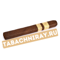 Сигара Rocky Patel - Decade - Toro (1 шт.)