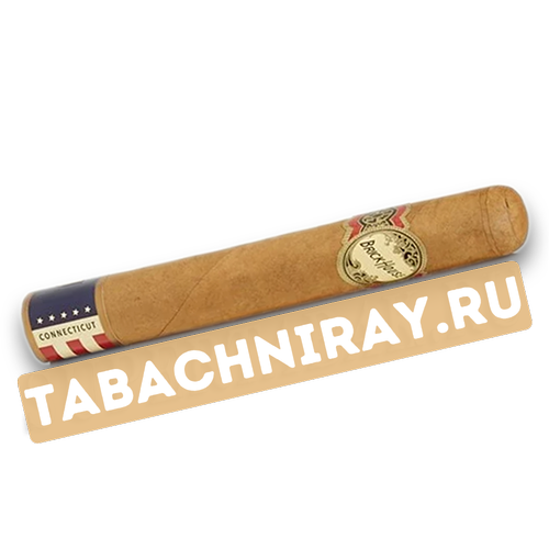 Сигара Brick House - Double Connecticut - Robusto (1 шт Фреш-Пак)-1