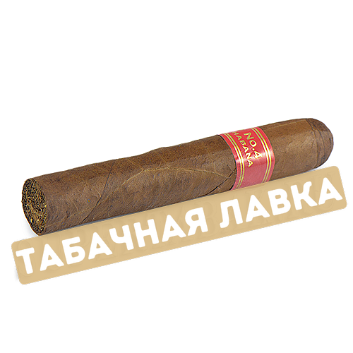 Сигара Partagas Serie D №4 (коробка 25 шт.)-1