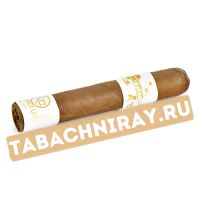 Сигара Principle Cigars Accomplice Classic White Band - Robusto (1 шт.)